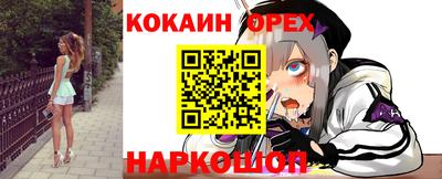 стафф Будённовск