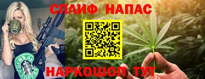 стафф Будённовск