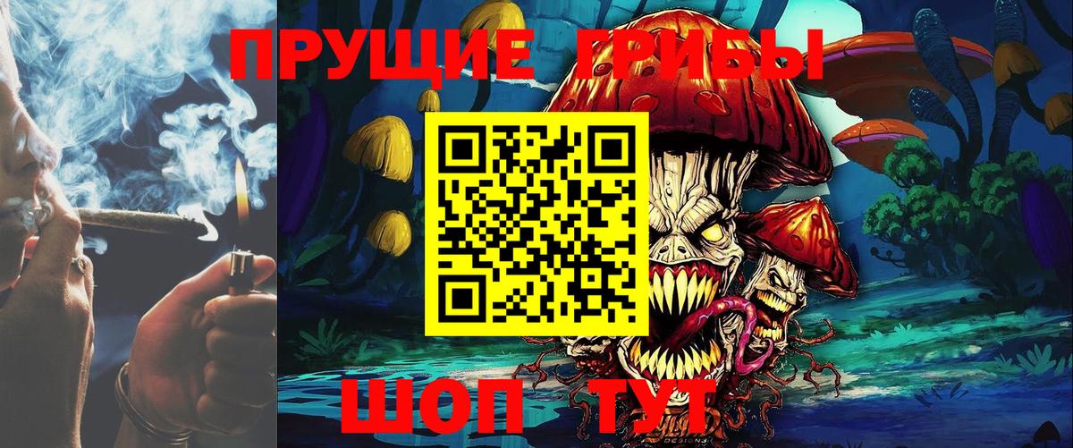 Галлюциногенные грибы прущие грибы  Вход с VPN  Тавда 